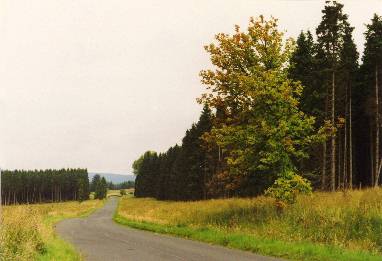 Eine Single Track Road