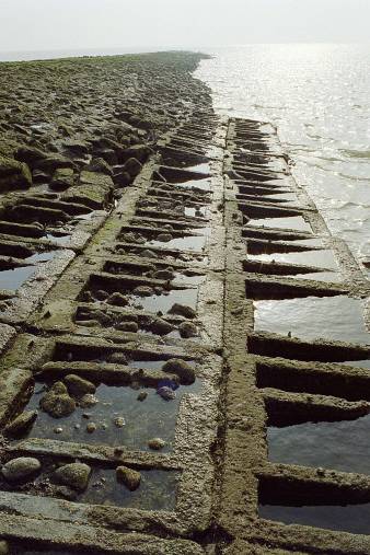 ein Bild von Wangerooge