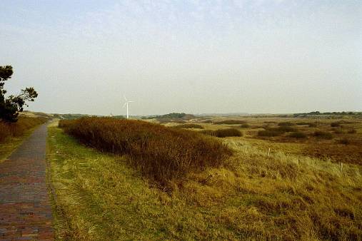 ein Bild von Wangerooge