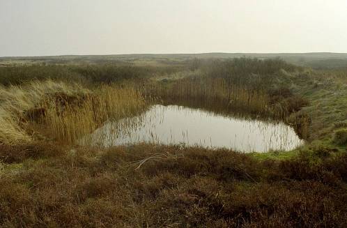 ein Bild von Wangerooge