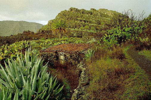 ein Bild von Gomera