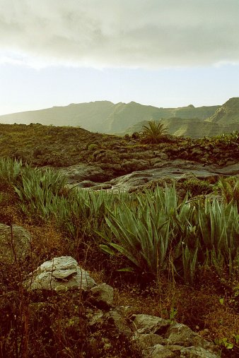 ein Bild von Gomera