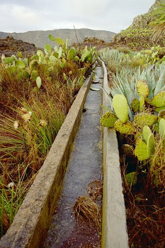 ein Bild von Gomera