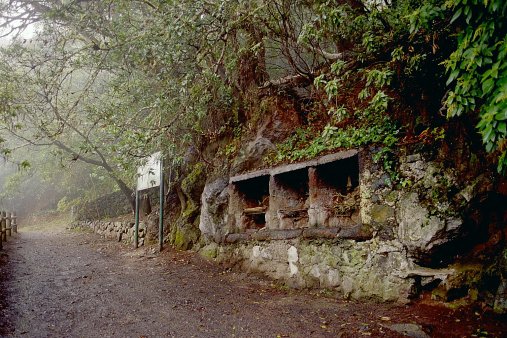 ein Bild von Gomera