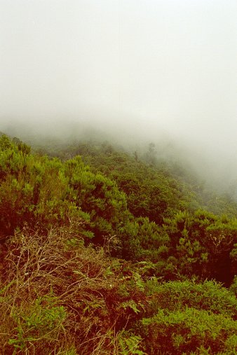 ein Bild von Gomera